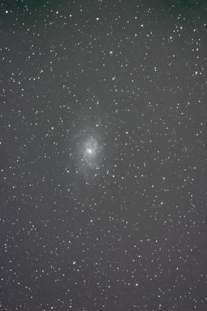 M33E񂩂̋