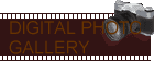 DIGITAL PHOTO GALLERY