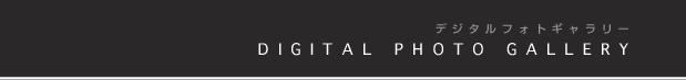 DIGITAL PHOTO GALLARY