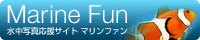 XL[o_CrOEʐ^TCg@}t@